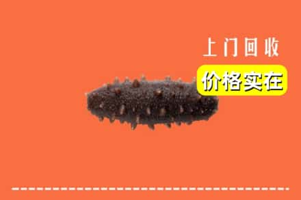 万安县回收海参