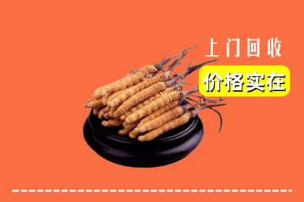 万安县回收冬虫夏草